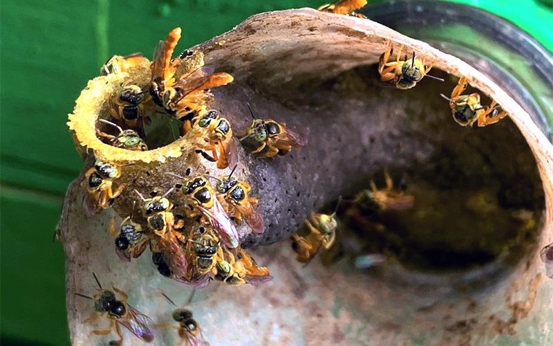 Catarinorte Notícias